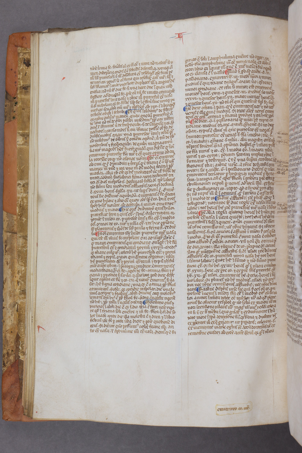 Folio 23 verso
